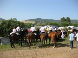 Fiesta in Spain, Andalusia