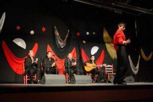 Mit den Spanisch-Sprachschülern beim Kulturausflug, Flamenco in Ubrique II.