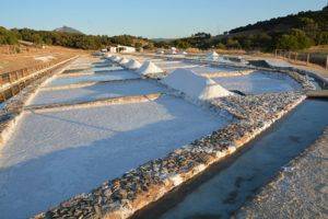 With the students of spanish during a cultural excursion, we visit the saltworks of Prado del Rey I.