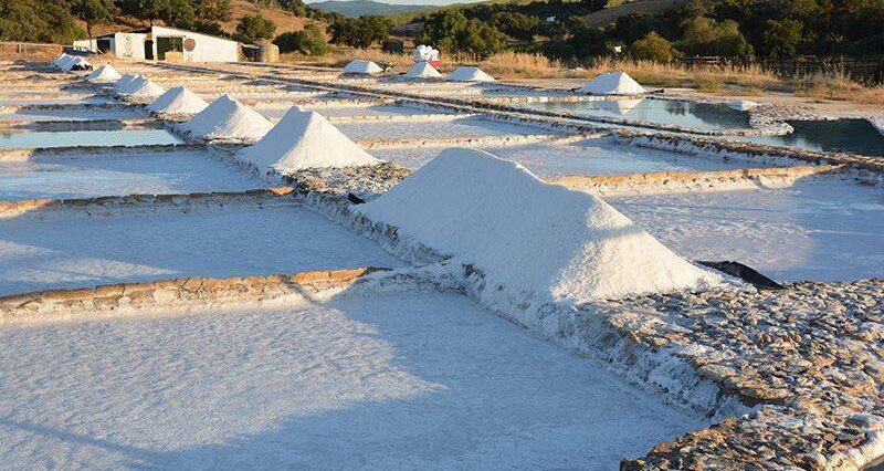 With the students of spanish during a cultural excursion, we visit the saltworks of Prado del Rey.