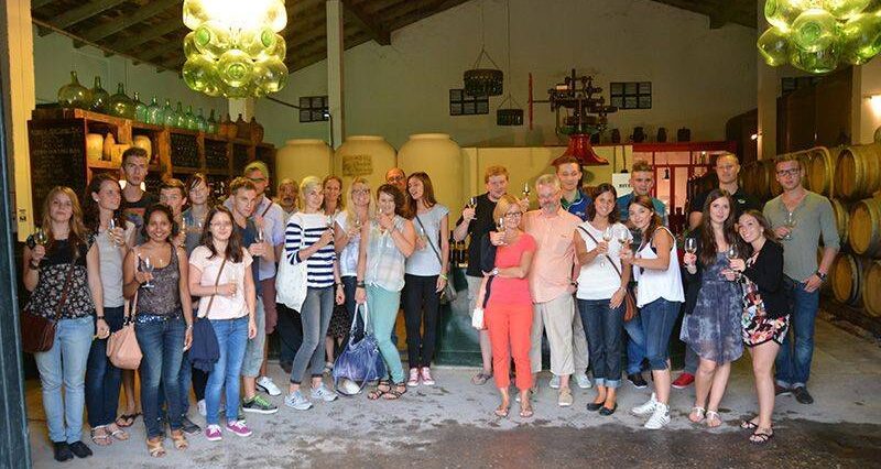 Group of language students at a wine tasting session at a local winery ¡Salud!