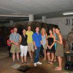 Group of people studying Spanish at a wine tasting session in a Sherry winery in Prado del Rey