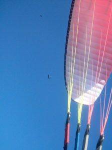 Paragliding in Algodonales in the freetime activity during the Spanish course