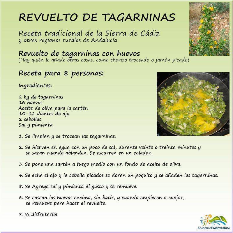 Receta revuelto de tagarninas de la Sierra de Cádiz