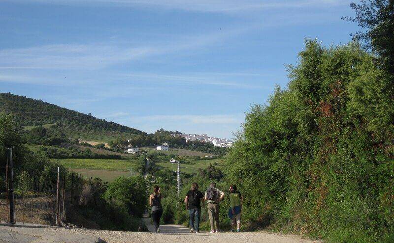 Hiking in Andalucia Route around Prado del Rey with students of spanish