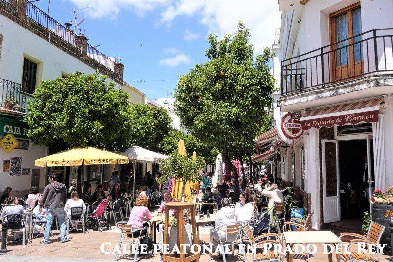 Calle peatonal y escuela de idiomas